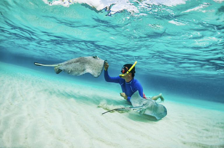 CAYMAN