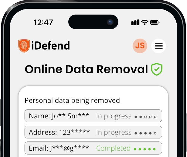 App interface showing online data removal.